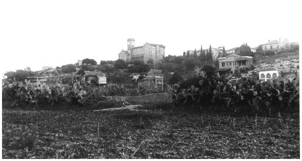 أ جامعة الامريكية ببيروت 1902