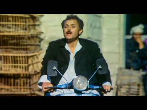 الكيت كات1 